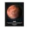 Stupell Industries Mars Red Planet Infographic Astrological Facts Outer Space Wall Plaque